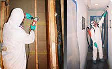 Black Mold Removal in Santa Rosa